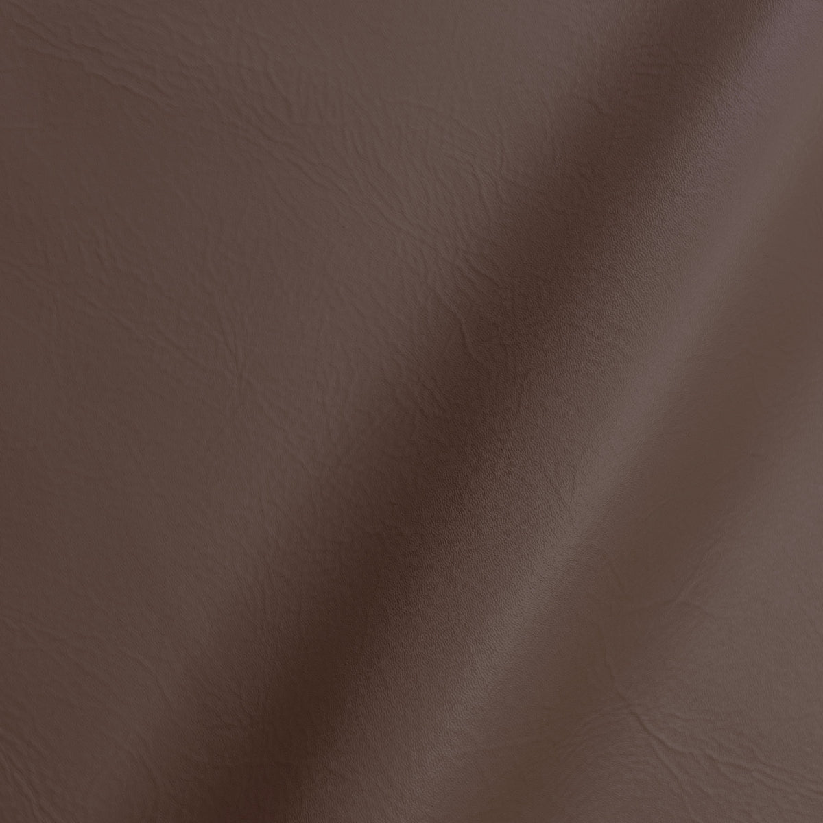 Coconut Shimmer