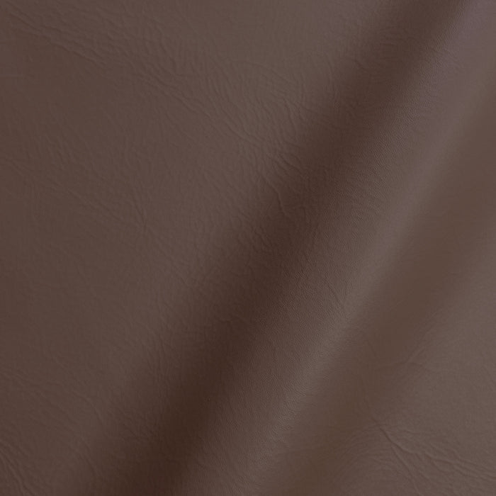 Coconut Shimmer