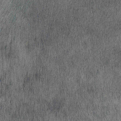 Crocodile Basic / 1-S34