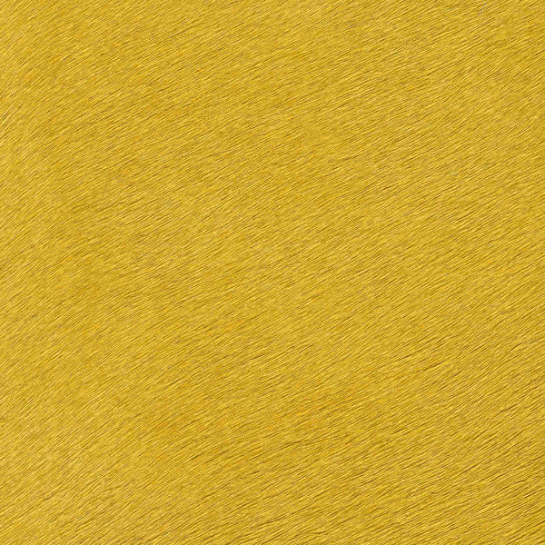 Crocodile Basic / 1-S34