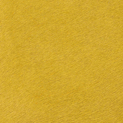 Crocodile Basic / 1-S34