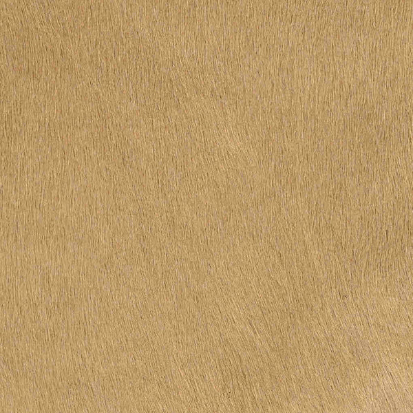 Leopard Doesn't Change it's Spots / 6-11