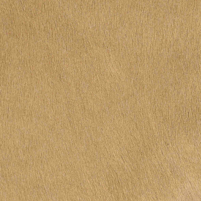 Leopard Doesn't Change it's Spots / 6-11
