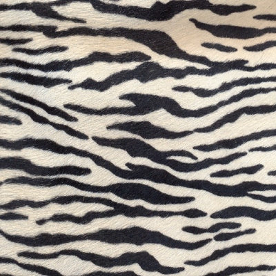 Tiger / 6-137