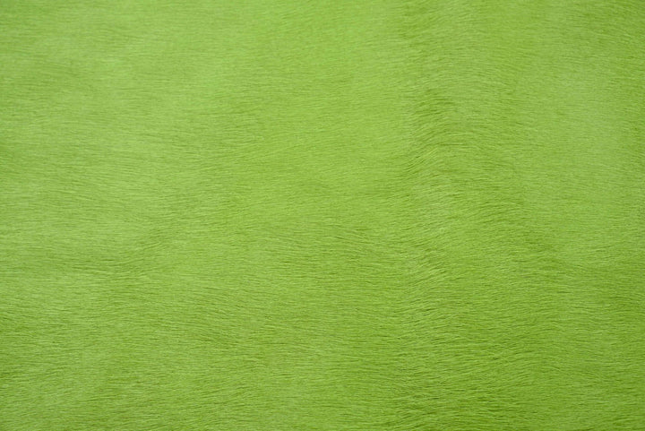 Grass