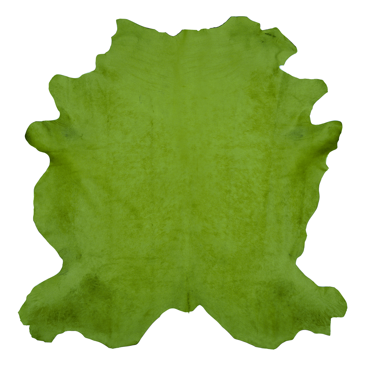 Grass