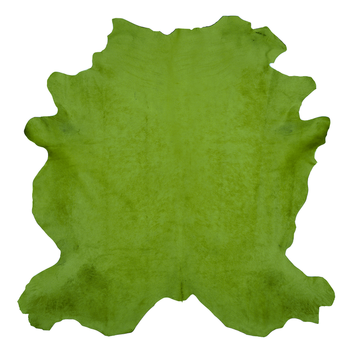 Grass