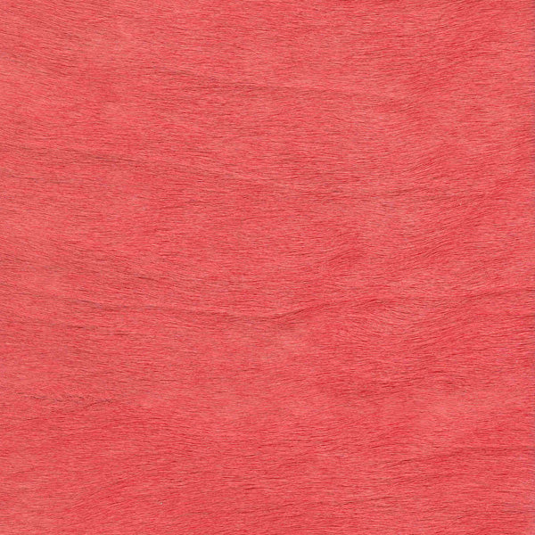 Watermelon / Article A38