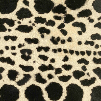 Wild Cat / 6-13