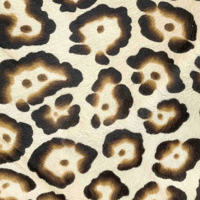 Wild Leopard / 6-106