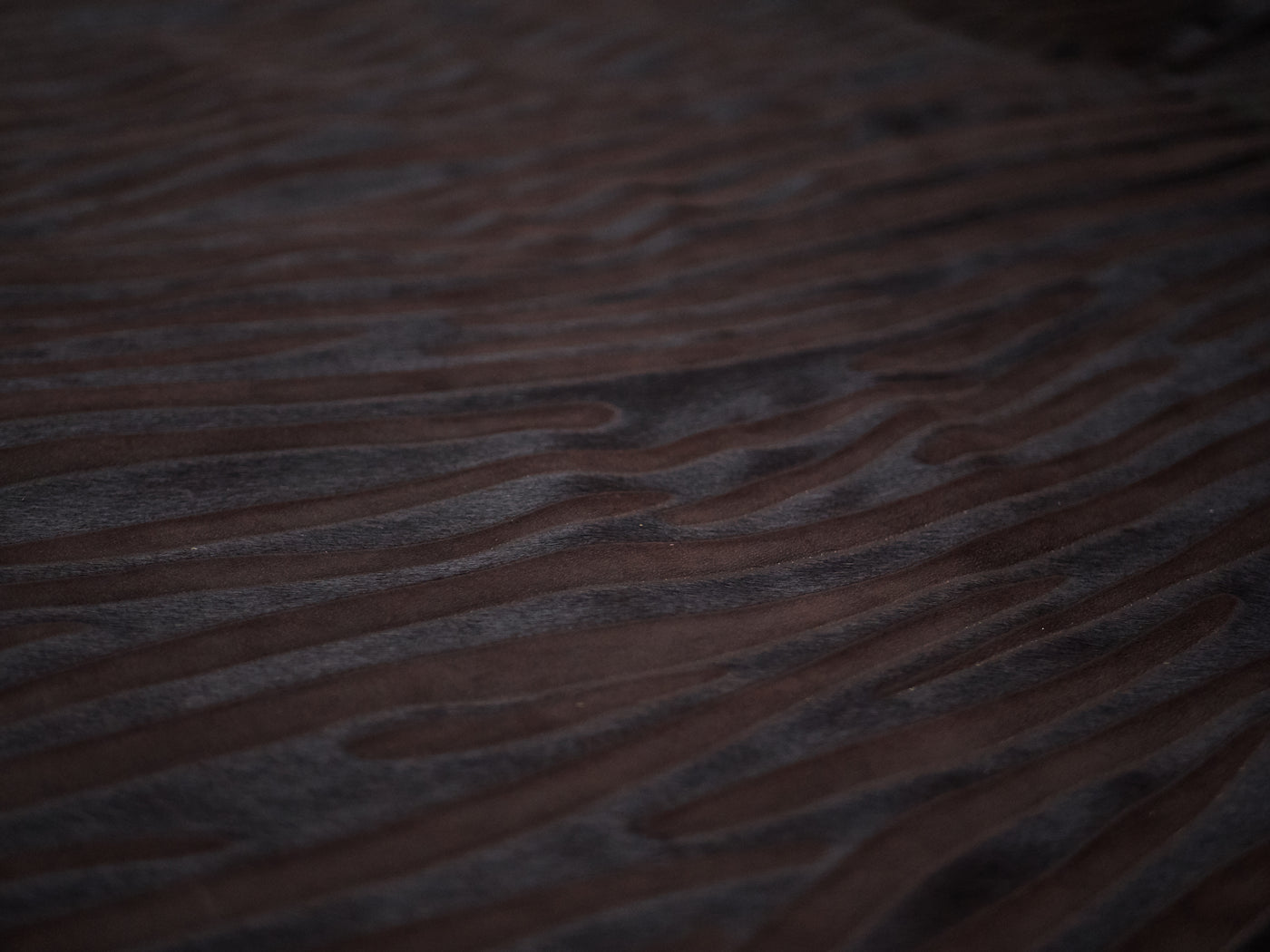 Wild Streak-Angle