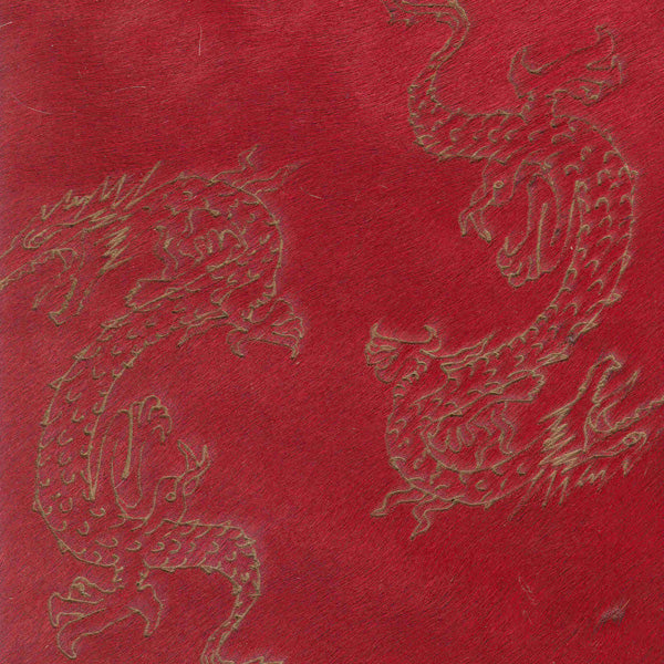 Year of the Dragon Inc / A1-E55