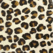 Ivory (as shown)