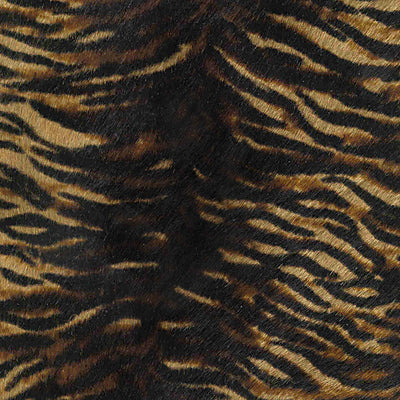Wild Tiger / 11-56