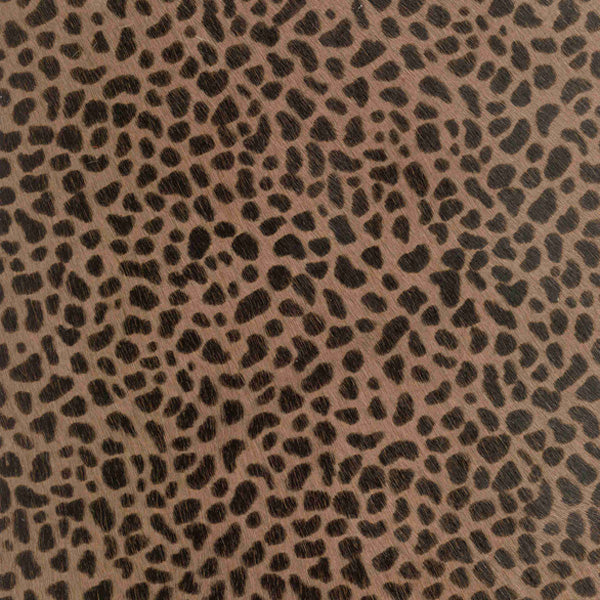 Seeing Spots / 4-1