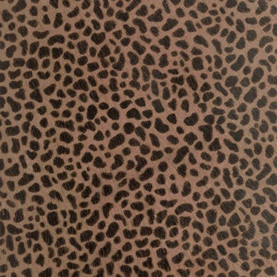Seeing Spots / 4-1