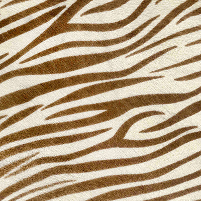 Small Zebra Chocolate / 6-10-ciocc