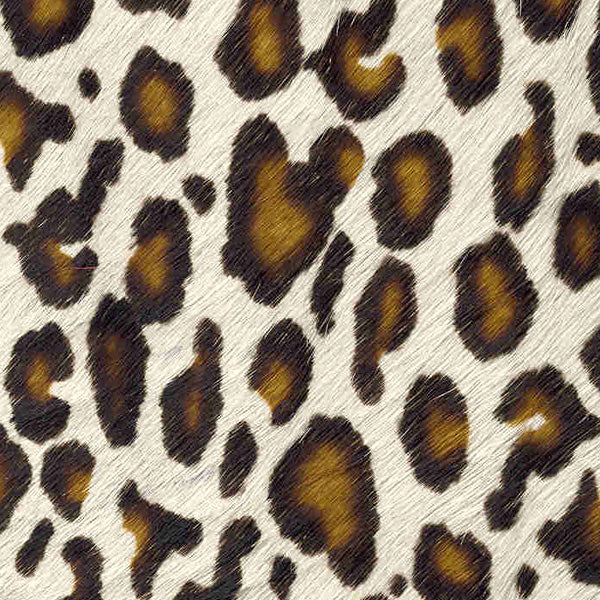 Leopard Doesn't Change it's Spots / 6-11