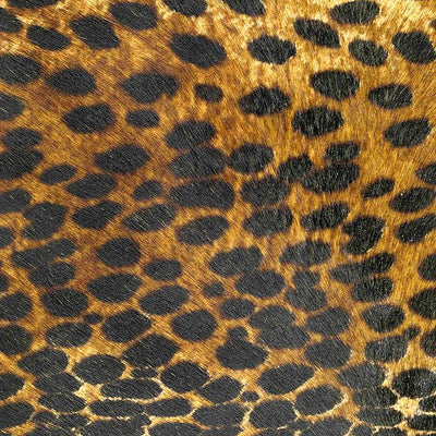 Cheetah King / 5-99