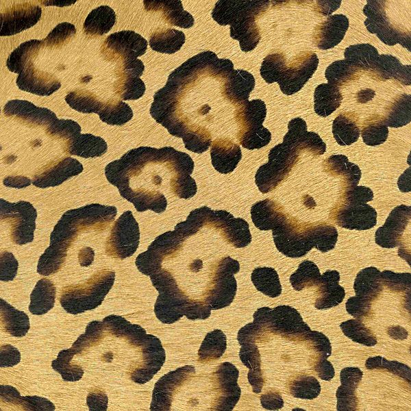 Jungle Life / 5-106