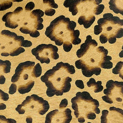 Jungle Life / 5-106