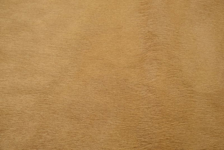 Caramel